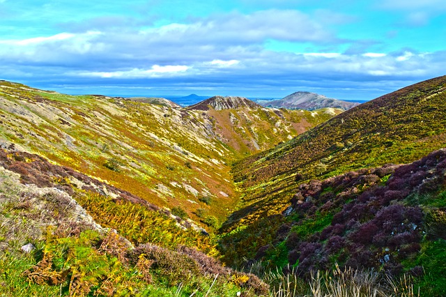 long mynd shropshire