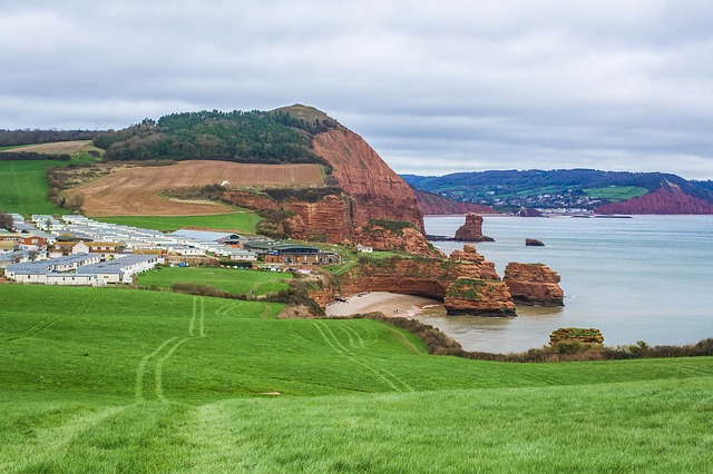 coast reefs devon